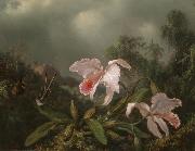 Martin Johnson Heade Jungle Orchids and Hummingbirds oil on canvas